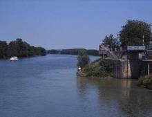 Le coq au vin de la Beurote saone.1304696850.jpg