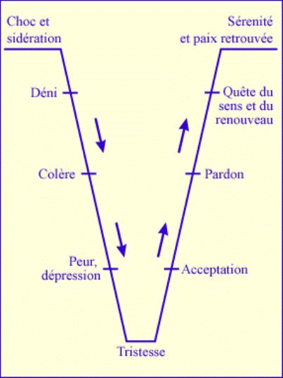 La courbe du deuil ... La courbe du deuil ...