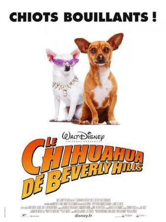 Le Chihuahua de Beverly Hills Chihuahua_de_Beverly_Hills