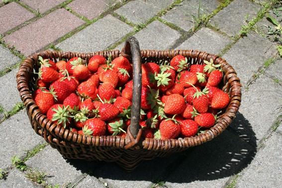 Manger des fruits rouges, c'est healthy