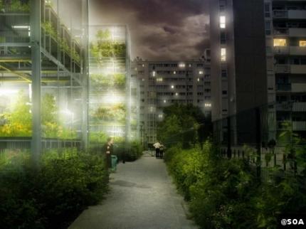 L’idée de réinsertion de l’agriculture en milieu urbain ville, urbanisme, agriculture, potagers, architecture,consommateurs