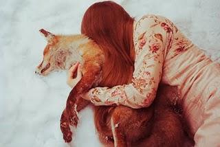 Animal de compagnie