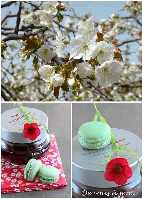 Macarons Pistache Griottes