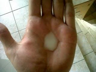 Au tour des mâles Au tour des mâles