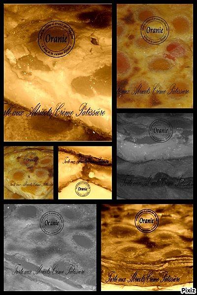 TARTE AUX ABRICOTS/CREME PATISSIERE TARTEABRICOTS-copie-1.jpg