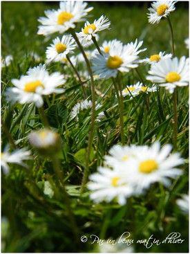 BICYCLETTE ...
BICYCLETTE Quand partaient MatinQ...