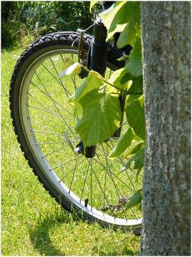 BICYCLETTE ...
BICYCLETTE Quand partaient MatinQ...