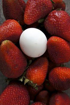 Les fraises sur la neige ... Les fraises sur la neige ...