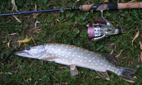 Drop&Broc;' (11/05/2011) drop-broc1.jpg