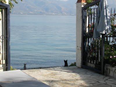 Bob Marley Bob Marley