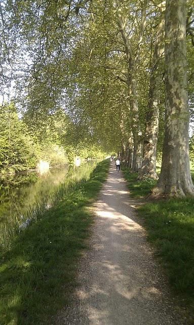 Promenade de printemps en suivant le canal d'Orléans