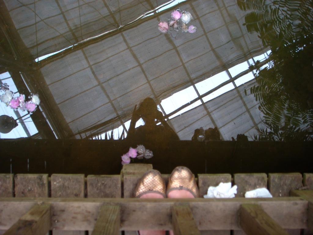 DSC02487 植物园 Jardin Botanique (I)