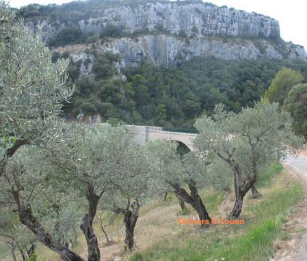 Escalade à Ampus oliviers.1305007739.jpg