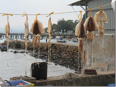 Avril2011_244 Avril2011_244