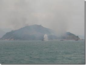 Avril2011_185 Avril2011_185