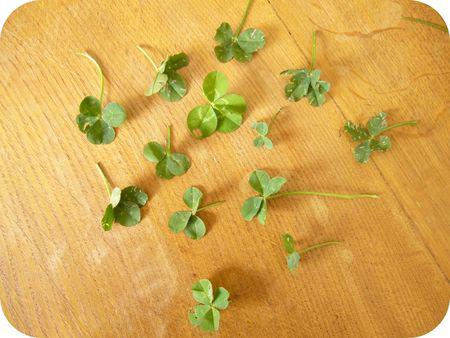 Pic°of° the° Week tr_fle