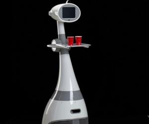 Luna, l'avenir robotisé des services à domicile