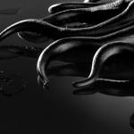 octopus_chair-05 octopus_chair-05