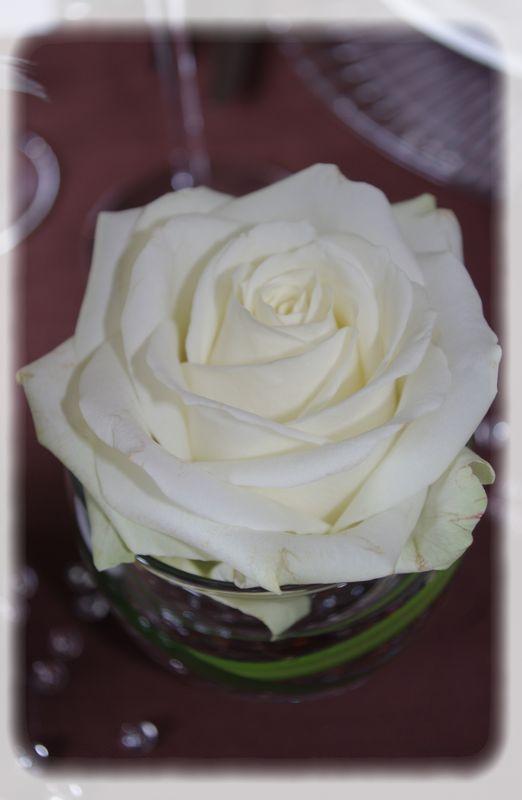 Mariage... mariage_brun_blanc_046_modifi__1