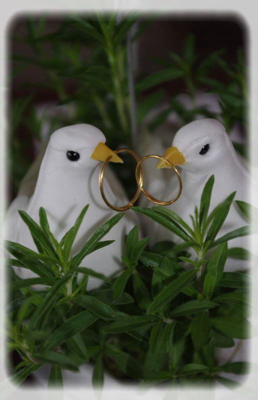 Mariage... mariage_brun_blanc_052_modifi__1