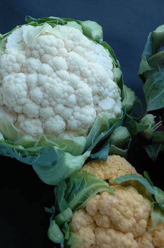 Chou-Fleur Chou-Fleur