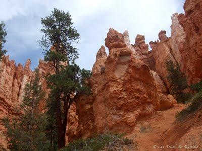 Bryce Canyon - Invitation au voyage Bryce Canyon - Invitation au voyage