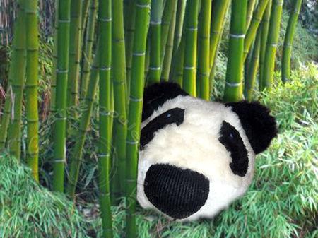 BALLE P COMME PANDA balle_panda7