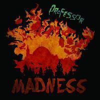 Professor (Groundation): son nouvel album Madness