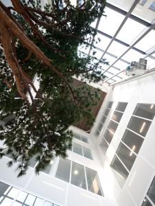 Test de l’objectif Canon 17 mm TS-E f4