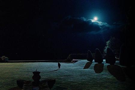 Melancholia : la fin du monde vue par Lars von Trier melancholia