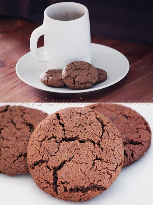 Gingernuts PIGUT Petits biscuits gingernuts ou gingersnaps