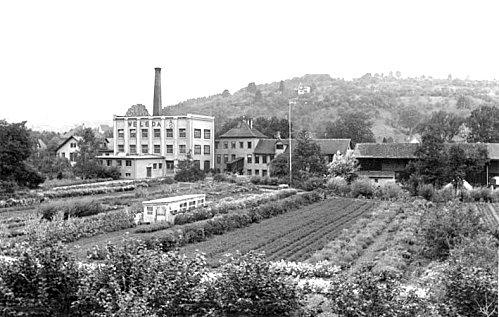 Weleda : 90 ans d'histoire weleda03.jpg