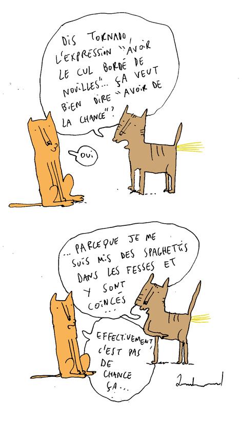 culbordedenouille.jpg