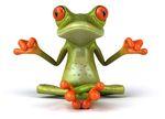 1, 2, 3 ... partez :Gestion ! frog10