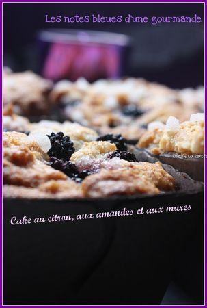 Cake au citron aux amandes et aux mûres IMG_6130_