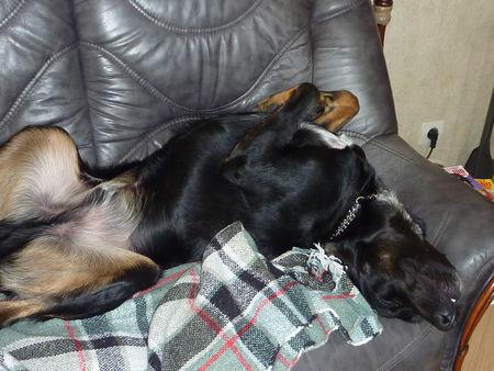 J'ai voulu faire concurrence à ma maîtresse ! P1090886