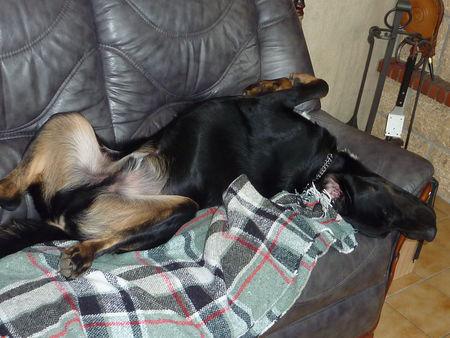 J'ai voulu faire concurrence à ma maîtresse ! P1090888