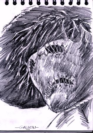 Les nuits habitées. nl_01__pouvantail