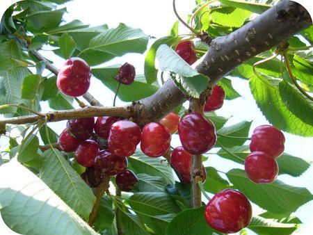 Bien dans ses chaussons... P1250846