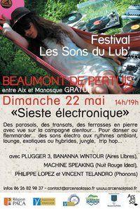 SIESTE ELECTRO ce dimanche ! Rdv au FESTIVAL LES SONS DU LUB' 211124_110524389032123_2745563_n