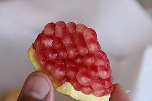 le verger de tival fraise-21-05-11-080.JPG