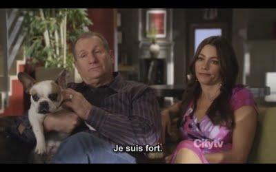 Un post qui a du chien Un post qui a du chien