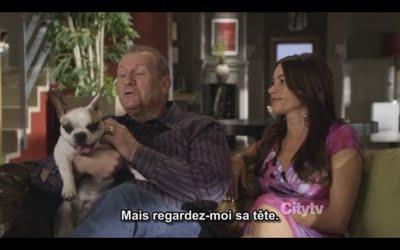 Un post qui a du chien Un post qui a du chien