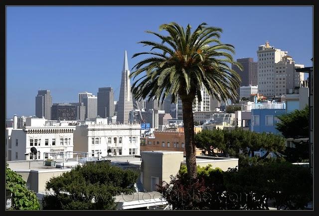Le skyline de San Francisco