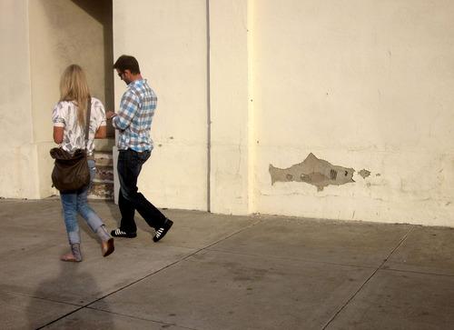 Artist : Snyder, Shark Wall