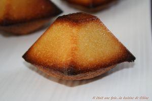 le namandier.... IMG_6099_blog