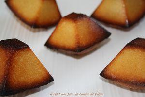 le namandier.... IMG_6098_blog