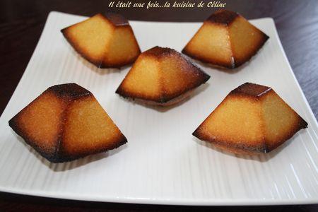 le namandier.... IMG_6097_blog