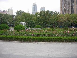 2007-11-shanghai-fuxingpark-6