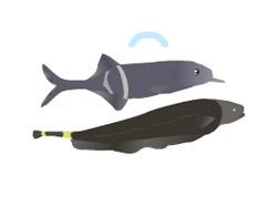 poissons-parlent-ST aquariophilie